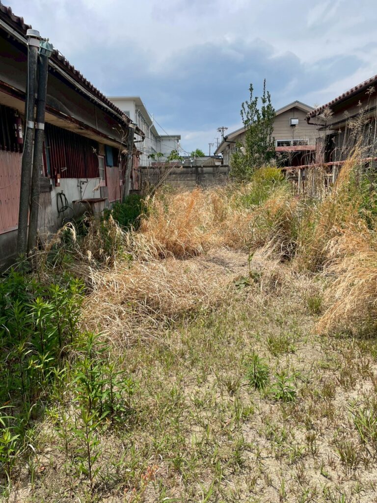 草刈り | 三重県津市の雑草対策専門店|株式会社いまふく|害獣駆除